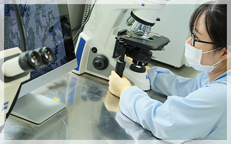 Ʊ������